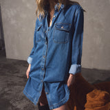 Aveline Denim Shirt Dress
