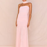 Hayley Strapless Mesh Dress in Pale Pink – women's maxi dress by SASS