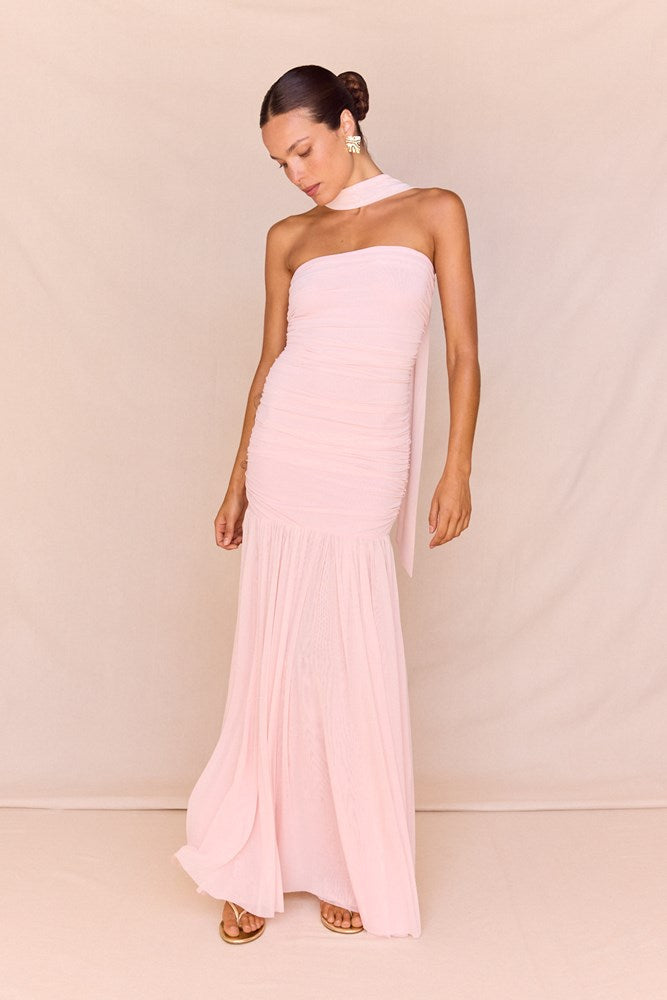 Hayley Strapless Mesh Dress in Pale Pink – women's maxi dress by SASS