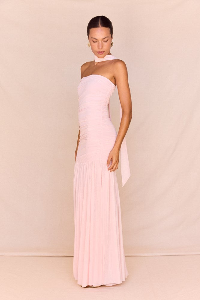 Hayley Strapless Mesh Dress in Pale Pink – women's maxi dress by SASS
